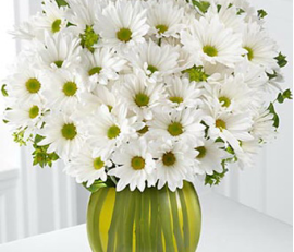 FM035(include vase)